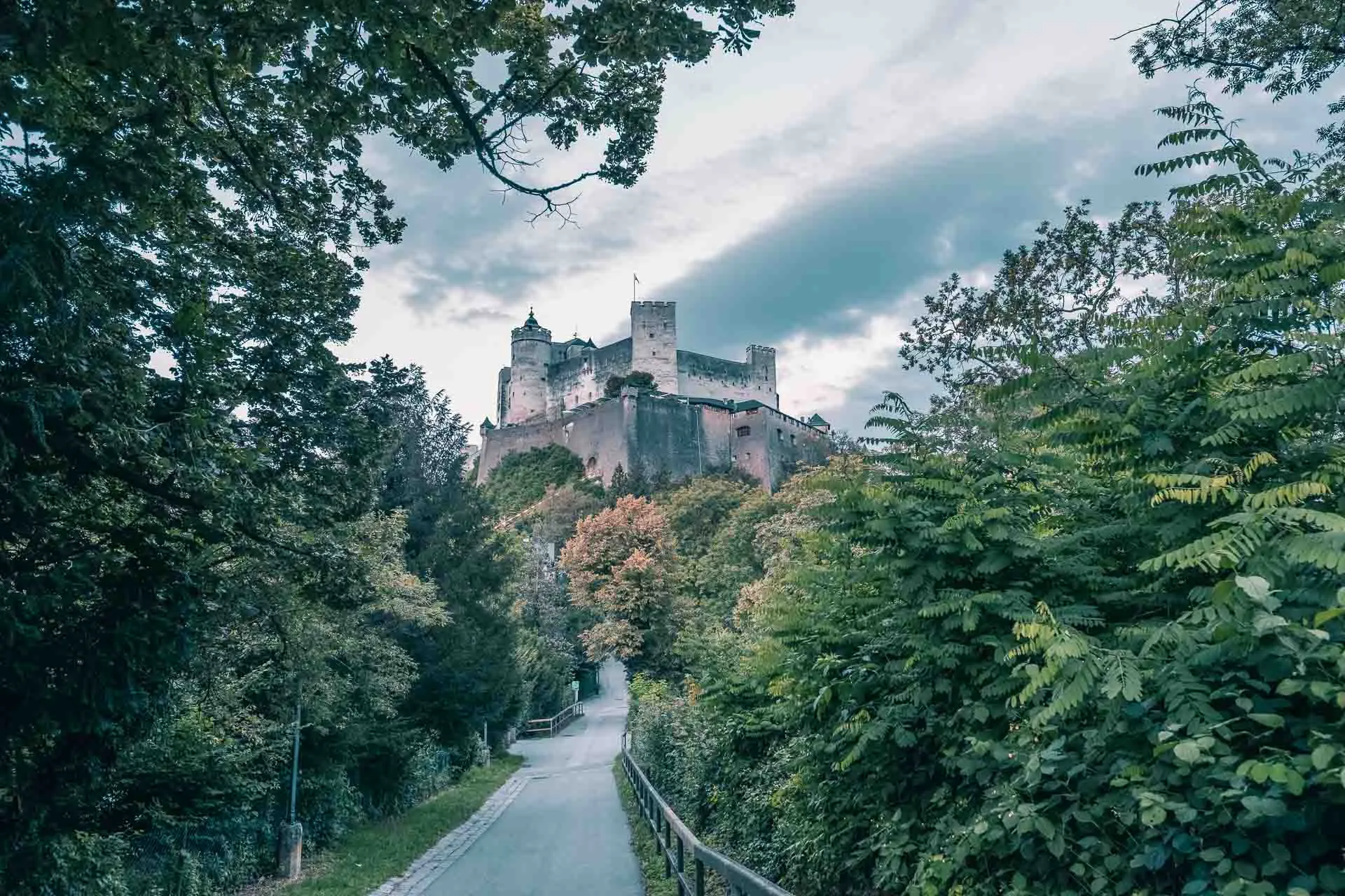 A road leading toward a castle among trees