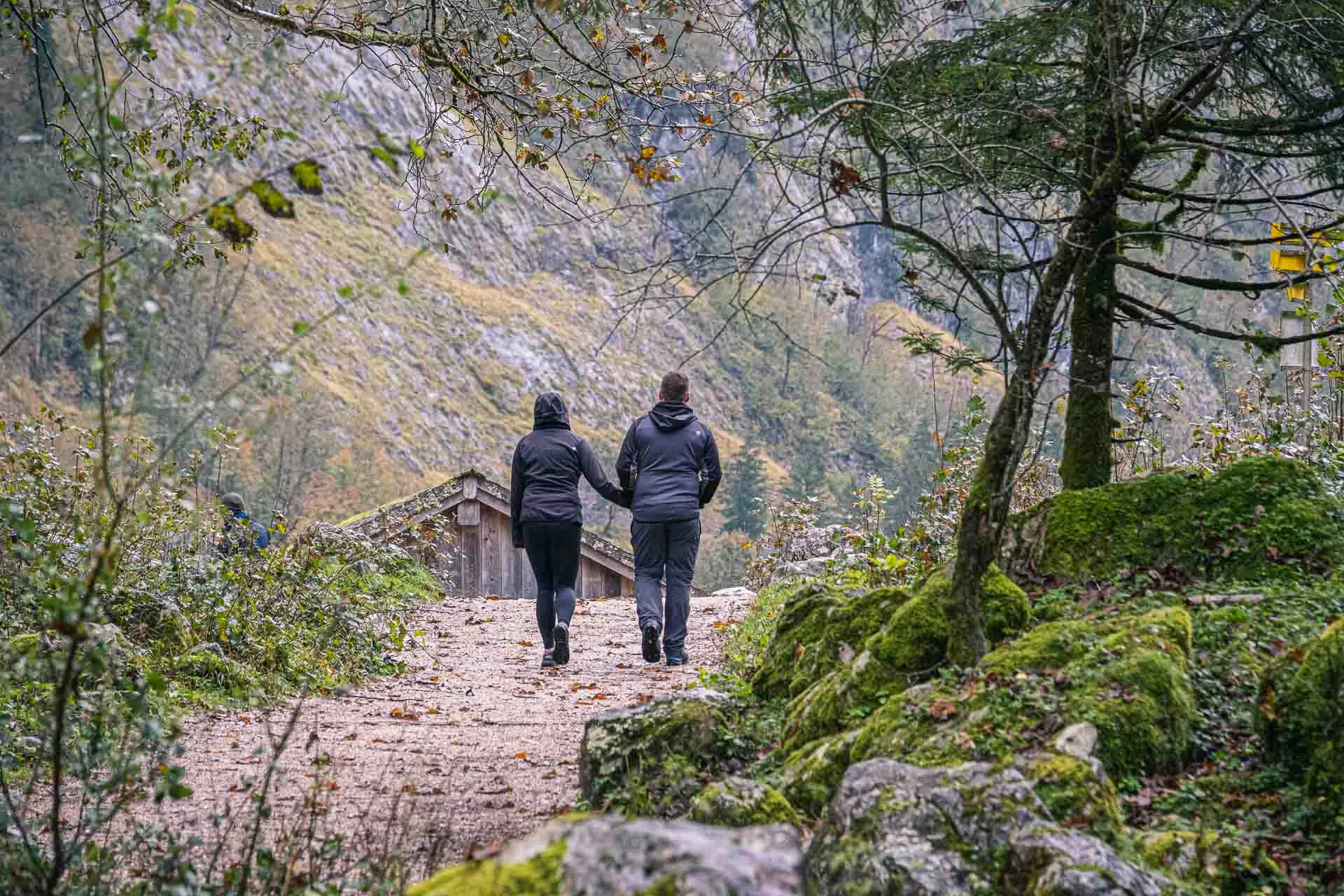 Two people walking a path through woodland
